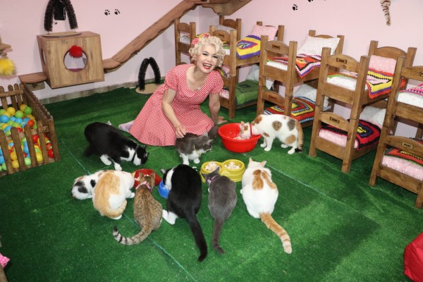 Mardinli Marilyn Monroe, tarihi konağı kedi sığınma evine çevirdi