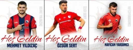 Mardinspor'da transfer atağı