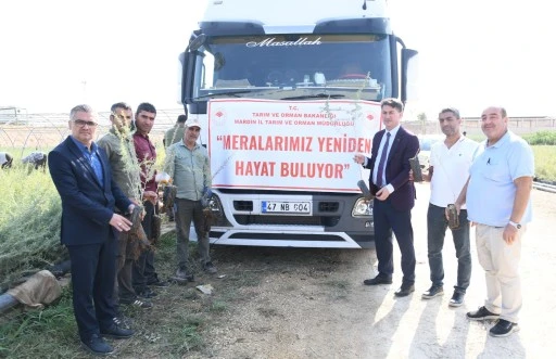 MARDİN&rsquo;DEN T&Uuml;RKİYE&rsquo;NİN MERALARINA CAN VERECEK DEV PROJE