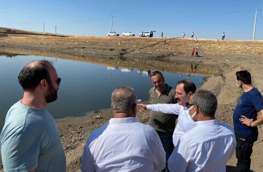 Mazıdağı&rsquo;nda Kuruyan G&ouml;lette Temizlik ve Islah &Ccedil;alışması 