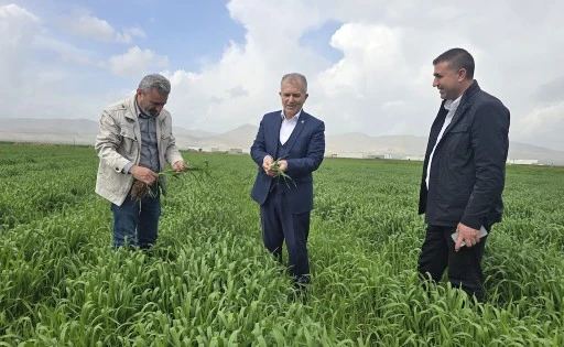  MAZOT VE G&Uuml;BREDE VERGİLER SIFIRLANSIN