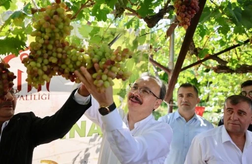 SİİRT&rsquo;TE TAYFİ &Uuml;Z&Uuml;M&Uuml; HASADI YAPILDI