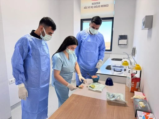 Nusaybin&rsquo;de Ağız ve Diş Sağlığı Hizmetleri G&uuml;&ccedil;leniyor